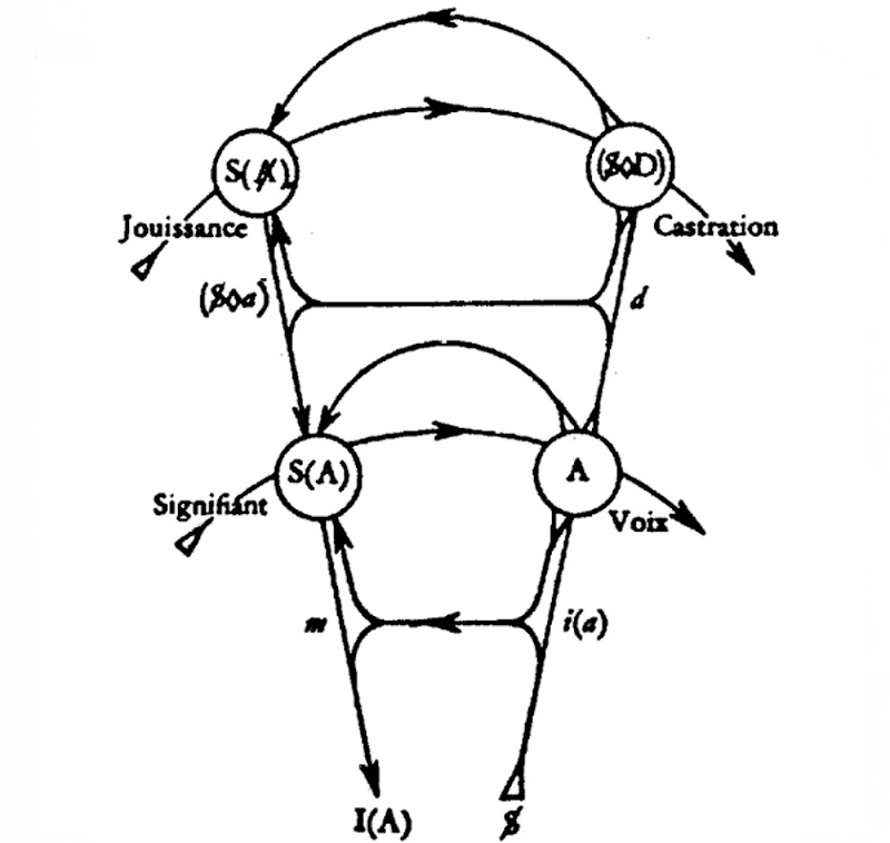 Publication Laznik